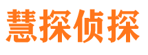 鲁山市私家侦探